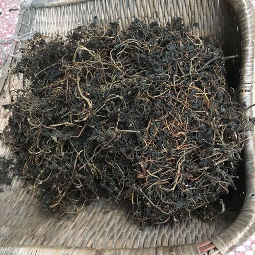 马齿菜干马齿苋干马蜂菜新晒马齿笕五行草长寿菜1斤包邮