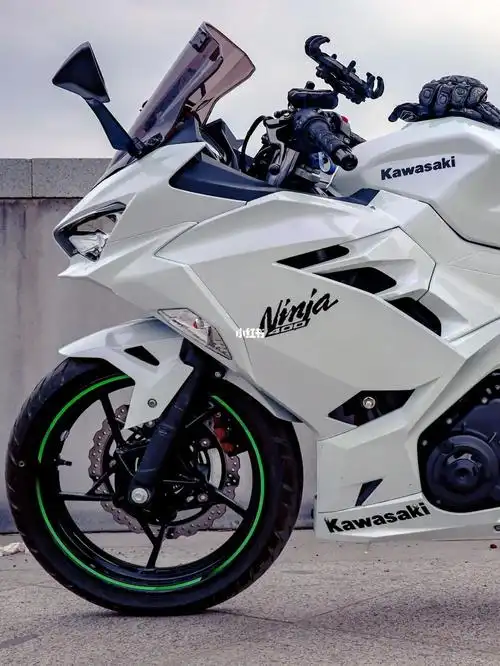 当ninja400变成白色之后