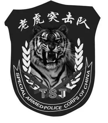 老虎突击队的臂章(资料图片)