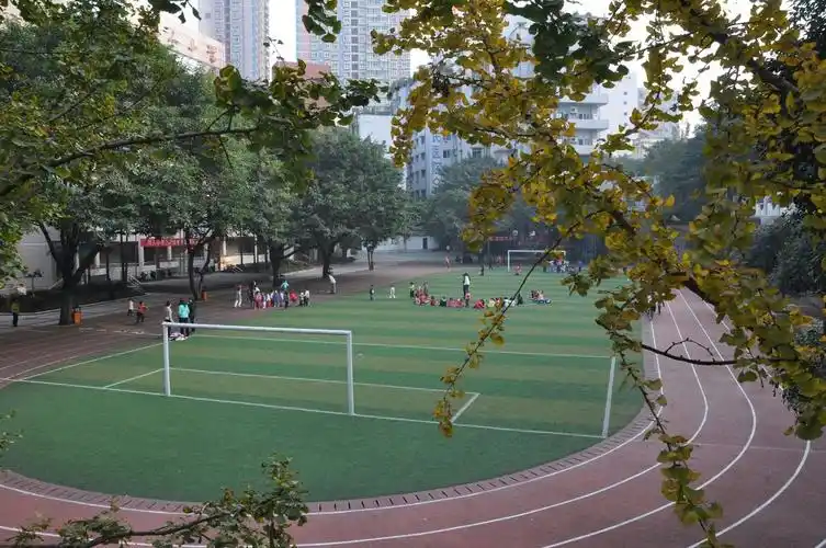 想进沙区最好的小学?没这份入学攻略怎么行!