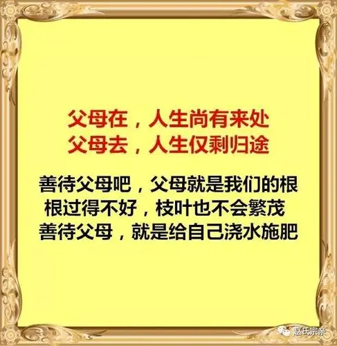 赵氏人生:人最大的教养,是善待父母