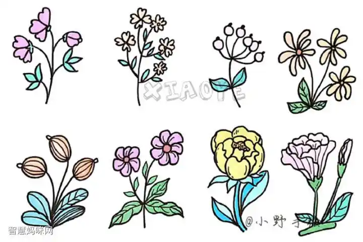 草长莺飞春天漂亮的花草简笔画图片