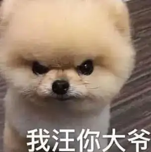 养只宠物轻轻松松年入百万不是梦!_表情_文章_孩子