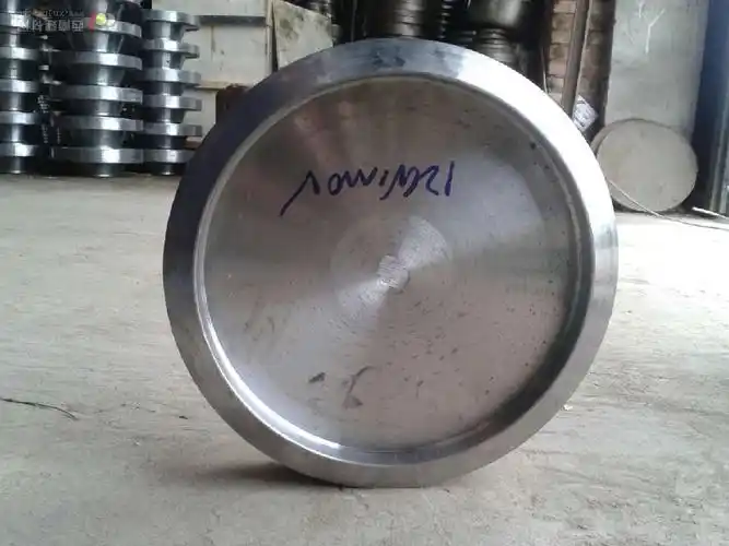 电标焊接堵头_焊接堵头系列_河北法兰生产厂家