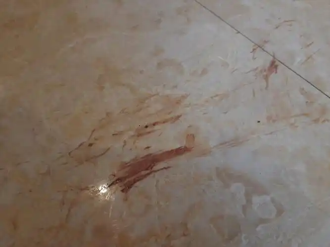 绍兴亲母杀子现场探访:房门外仍残留斑驳血迹,其母当天在河边被抓