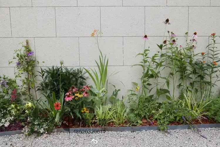 今天刚完工的小花园后院,整体北欧风格,冷色调为主,淡淡的