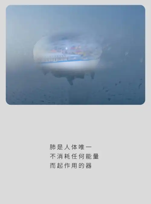 壁纸温柔扑空了才会长记性