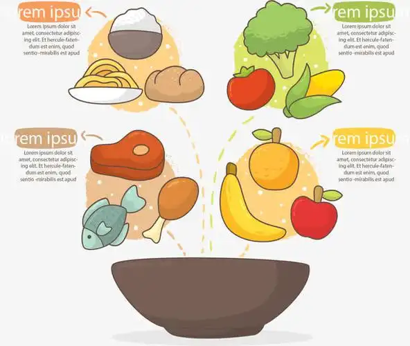 饭碗美食分类信息图表免抠素材免费下载_觅元素51yuansu.com