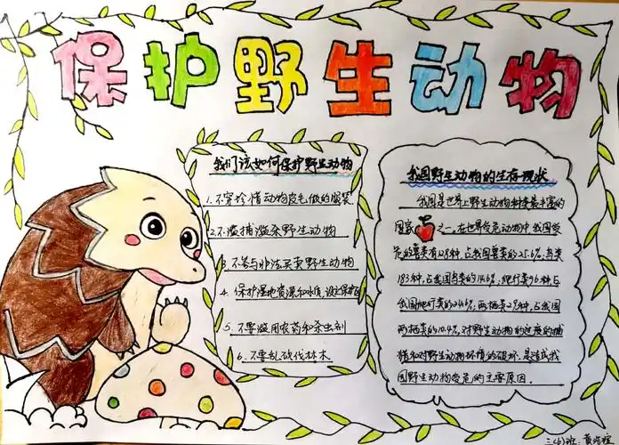 库尔勒市第八中学开展"爱护大自然,保护野生动物"主题活动