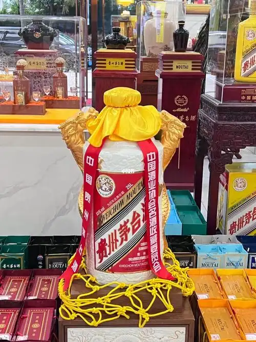 茅台飞天双龙汇