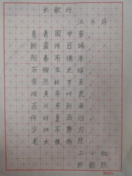 新年艺术汇,二年级硬笔书法作品展示