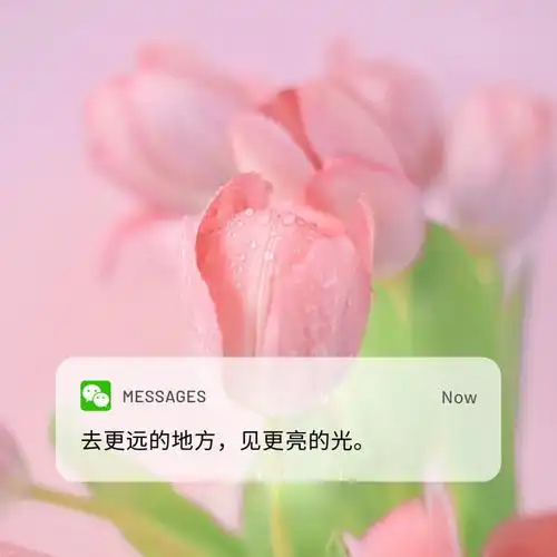 10句清晨心语文案愿所有的美好如约而至日签水印已去除