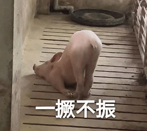 表情父子之间不言谢啊沙雕表情包