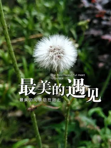 摄影图片配文 - 原创作品 - 站酷(zcool)