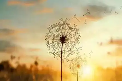 看淡一切释然的说说无能为力者的呐喊