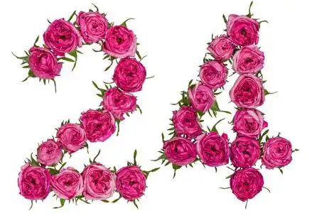 数字二十四阿拉伯数字 24, 二十四, 从红色的玫瑰花, isolat照片