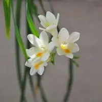 淡然安静风景的头像_微信头像图片大全