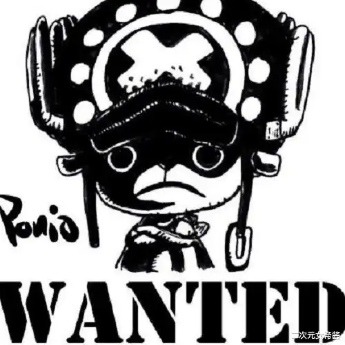 娜美|海贼王:草帽"全员恶人"通缉令,娜美变邪恶美人,乌索普太搞笑