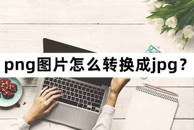 png图片怎么转换成jpg? 图片格式转换教程_进行_选项_文件
