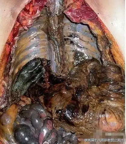 羞羞羞羞羞涩姐的相册-如果二,请深二