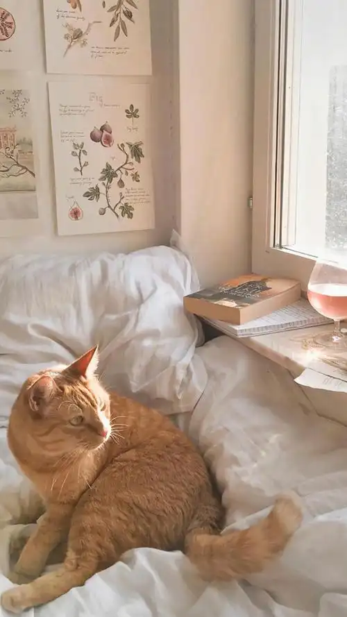 ins风简约生活房间背景手机壁纸