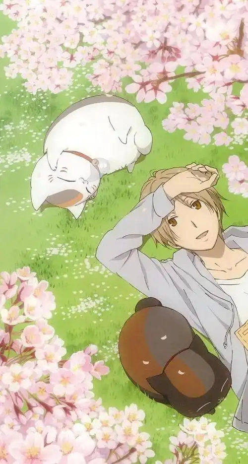 《夏目友人帐》是一部由绿川幸创作的日本漫画,后来被改编成了动画.