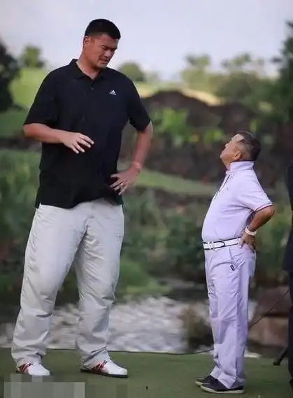 刘德华成龙大哥有妙招|姚明|大哥|合影_新浪新闻