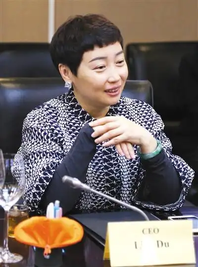 国美控股ceo杜鹃:国美一直在"居安思危"