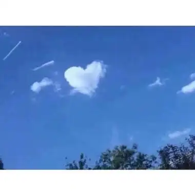 纯色头像 qq头像纯色无图案背景图