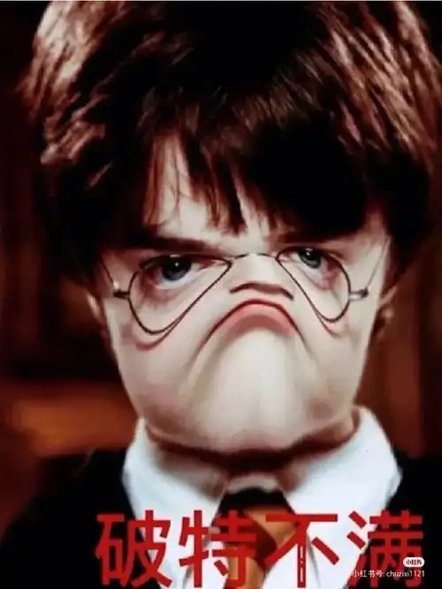 哈利波特表情包