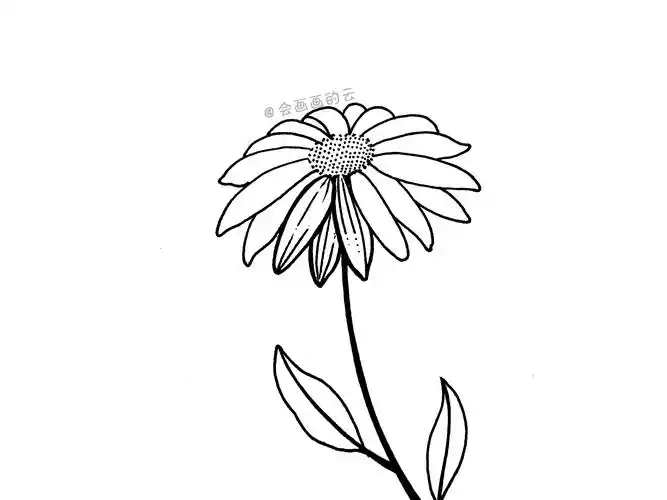 三款适合零基础画的小雏菊,简单又好看,而且一只中性笔就可以