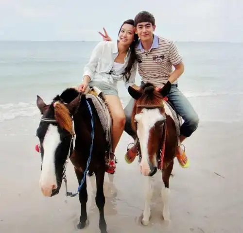 萌狗头像闺蜜头像情侣头像多人头像三人头像柴犬