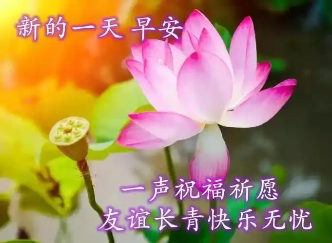 2021早晨好幸福暖心的问候图片带字_祝福