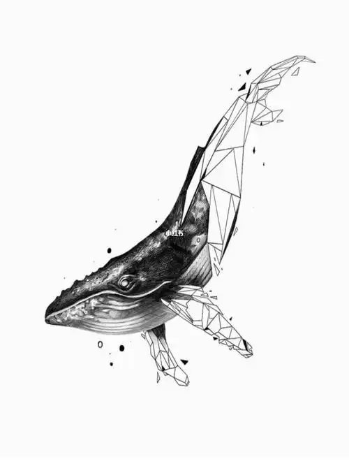 鲸鱼纹身手稿分享