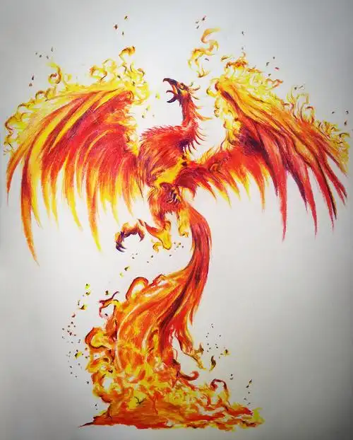 彩铅几张 火凤凰|插画|创作习作|柳小江 - 原创作品 - 站酷 (zcool)