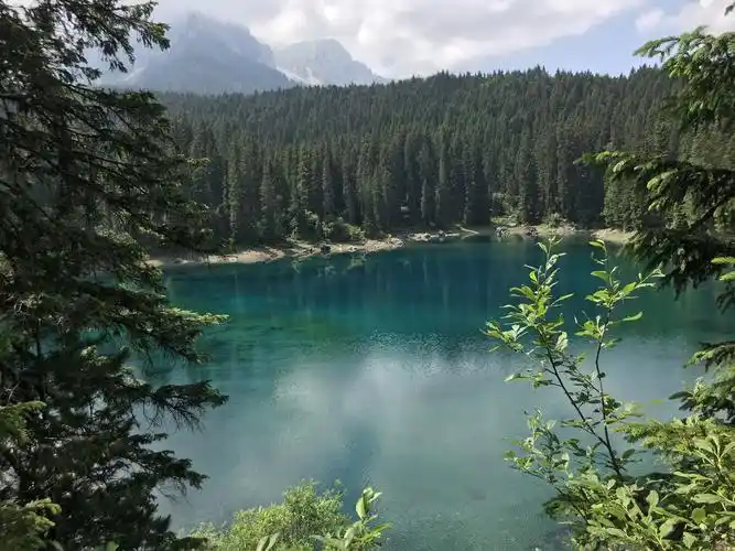 水体和树木景观摄影