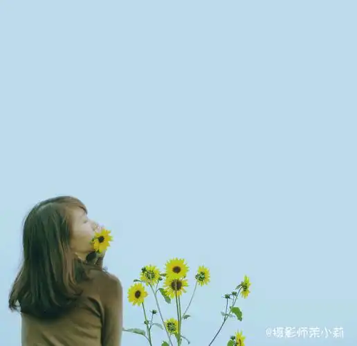 那天才红着脸知道,原来向日葵也有这么多种颜