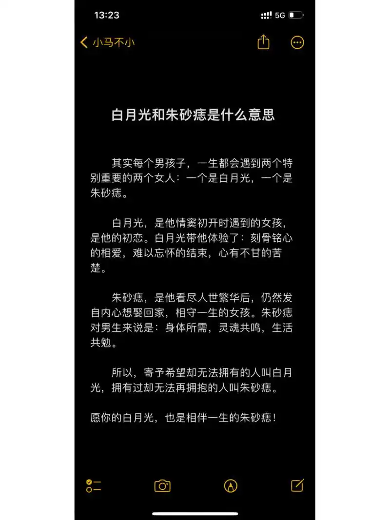 白月光和朱砂痣是什么意思