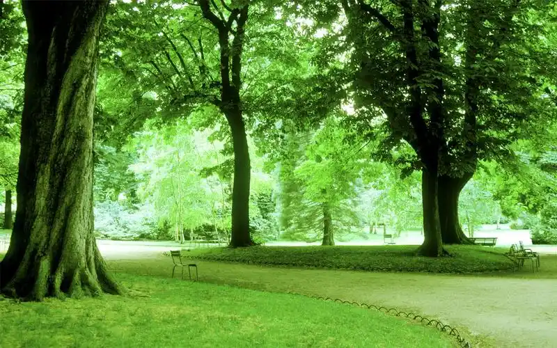 绿色护眼公园风光win7电脑桌面主题壁纸高清大图预览1920x1200_风景