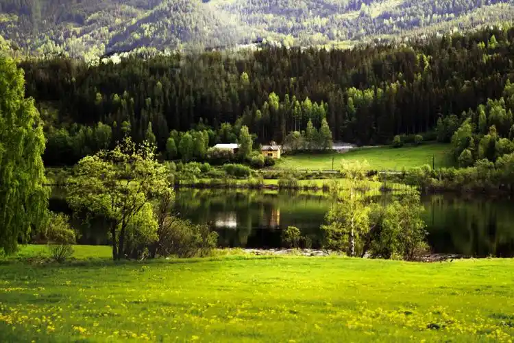 北欧四国十俄罗斯之旅(三)