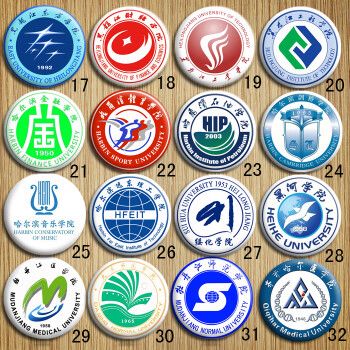 黑龙江绥化黑河哈尔滨东方财经工业工程金融石油剑桥学院校徽胸针21