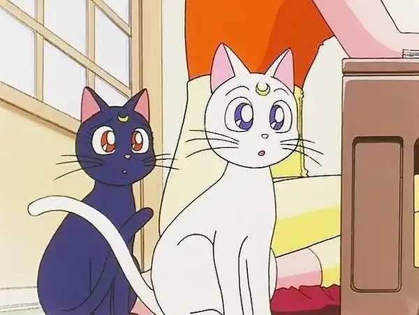 美少女战士露娜亚提密斯可爱图片