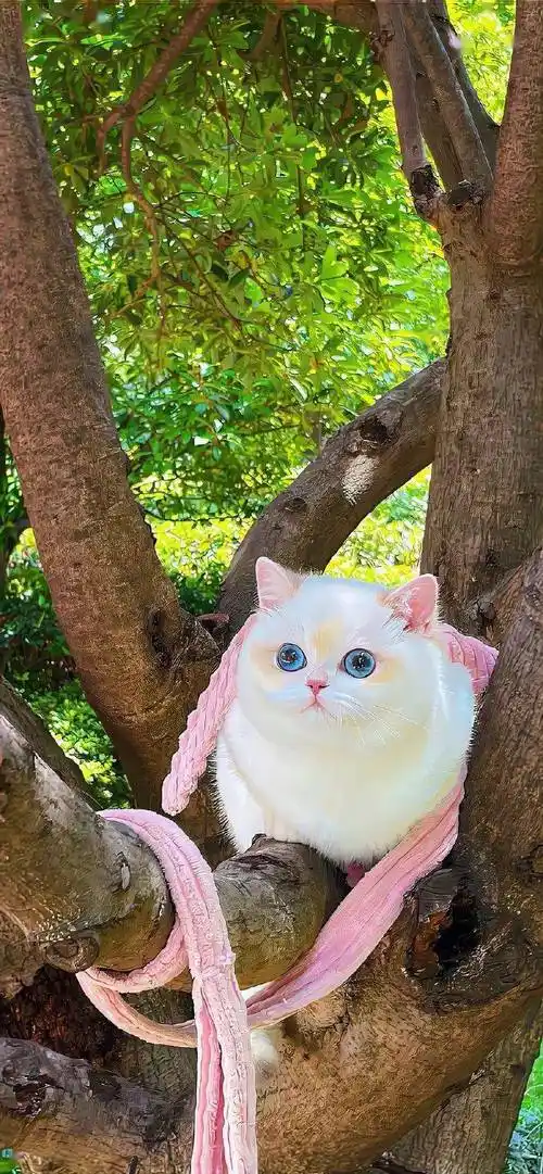 壁纸| 很难不爱的手机壁纸! 676767