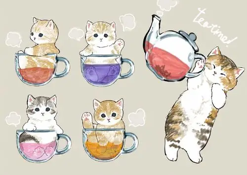 猫咪- 堆糖,美图壁纸兴趣社区