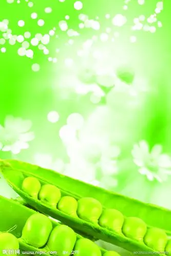 设计 广告设计 海报设计 0 方式: 原创共享素材