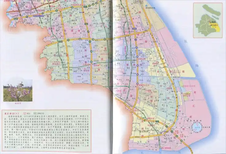 上海市浦东新区