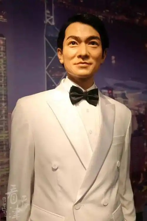 刘德华△邓丽君这二位大咖我只想说一句,见不到本人,看个蜡像也是