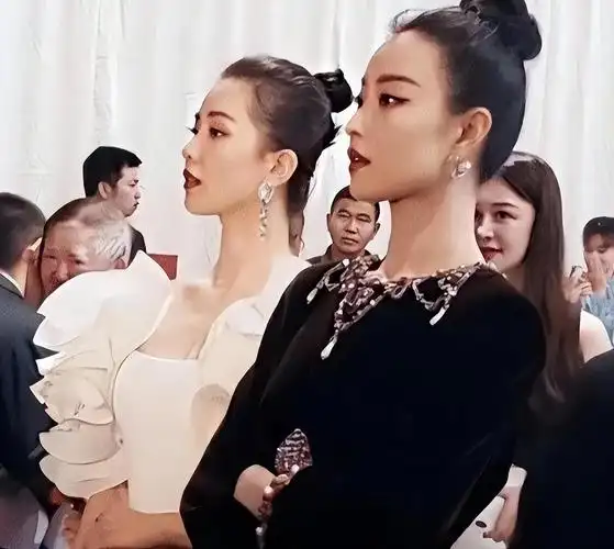 85花重新洗牌,赵丽颖倪妮成功"领跑"后,刘诗诗处境越发尴尬了