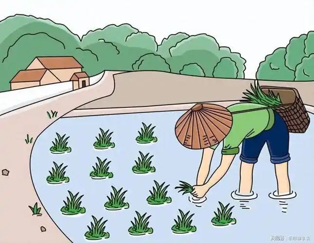 不知从什么时候开始,农民种地的种子变成了一年一买,为什么大家都要买