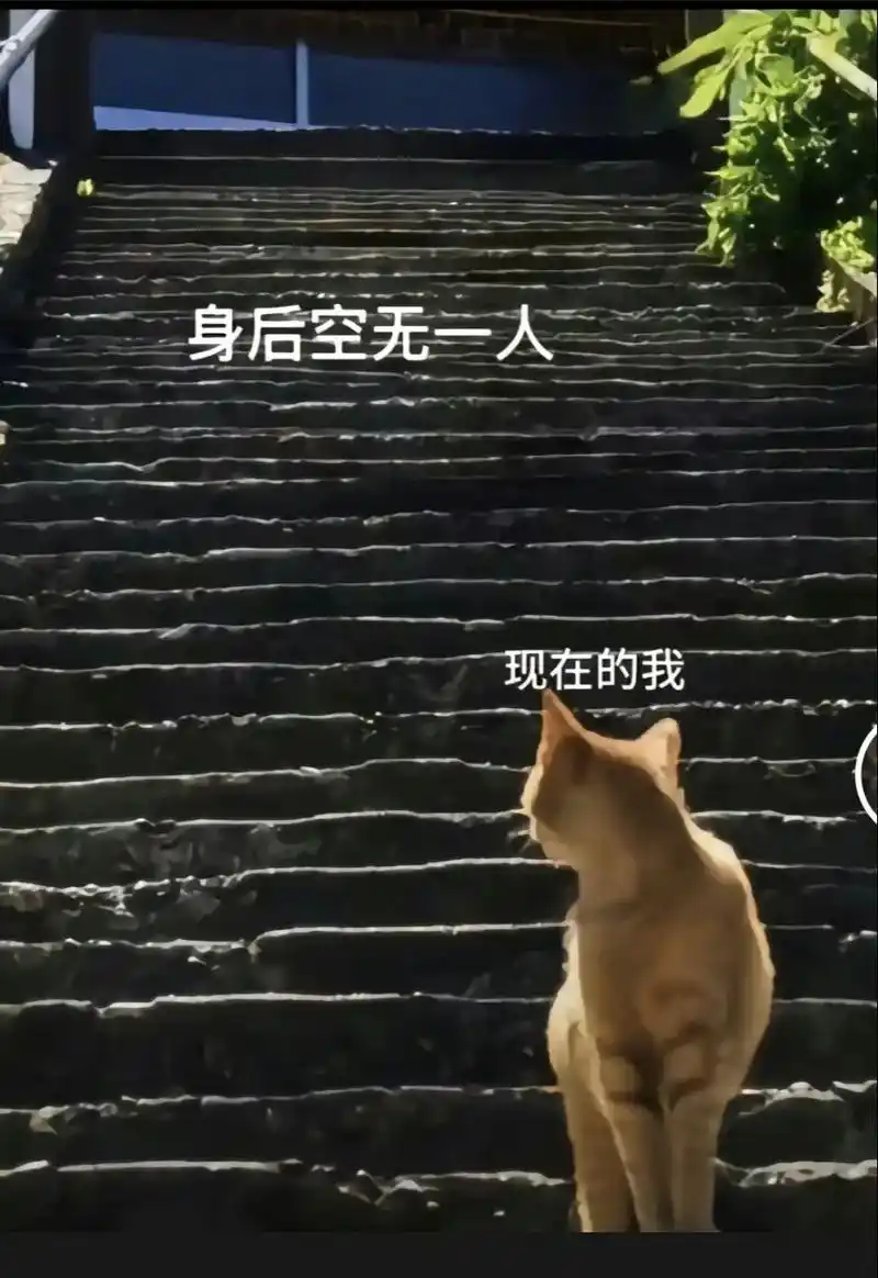 无数个夜晚我总在想,究竟要成为什么样的人,才能满意的过完这一生